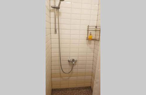 Siauliai City Center Apartment | Cozy Barrister's Apartments with Fireplace & Pet-Friendly Stays