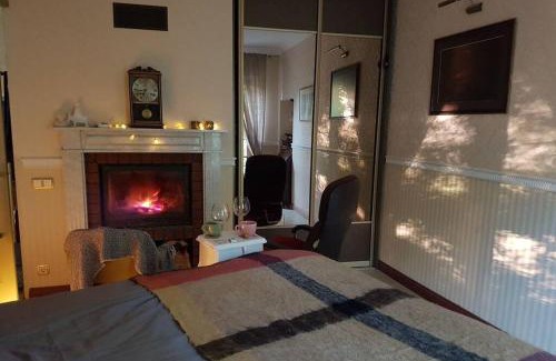 Siauliai City Center Apartment | Cozy Barrister's Apartments with Fireplace & Pet-Friendly Stays