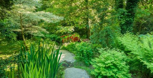 Town Lots Bed & Breakfast | Pet-Friendly Comfort at Barry's Bed and Breakfast