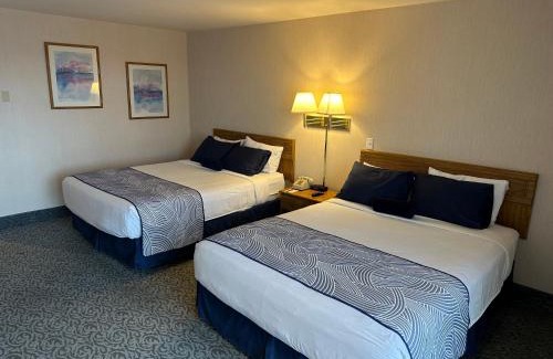 Jackpot Hotel | Barton's Club 93