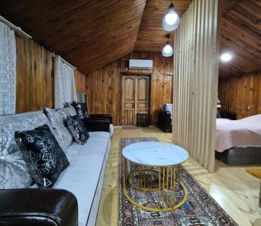 Khulo Apartment | Pet-Friendly Barybari: Guest Rated 9/10 for Families