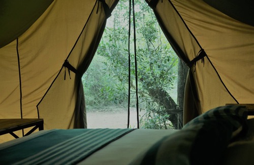 Nochchiyagama Other | Discover Base Camp Wilpattu: Family-Friendly Retreat