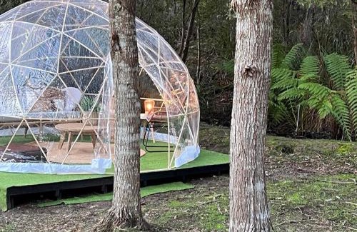 Alonnah Other | Inviting Base Glamp Bruny - Heated Tents for Families