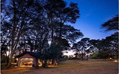 Talek Other | Adventure Awaits at Basecamp: Child-Friendly Retreat
