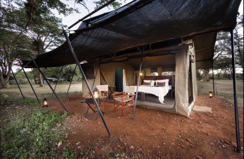 Talek Other | Adventure Awaits at Basecamp: Child-Friendly Retreat