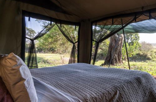 Talek Other | Adventure Awaits at Basecamp: Child-Friendly Retreat