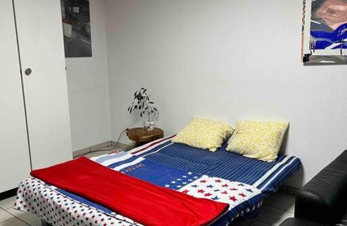 Muttenz Apartment | Modern Basement Studio in Muttenz - Close to Basel