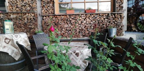 Ebbs House | Discover Basislager Kaiserhaus: Family-Friendly Getaway