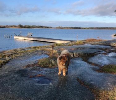 Finstrom House | Explore Bastöstugby Stuga 17: Pet & Child Friendly Retreat