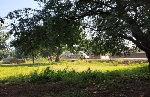 Chhotekawali House | Experience Authentic Tribal Culture at Satyendra's Cottage