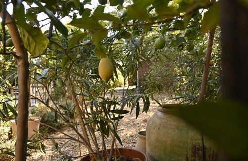 Perpignan House | Experience Bastide le Petit Clos: Oceanfront Gîtes & Pool