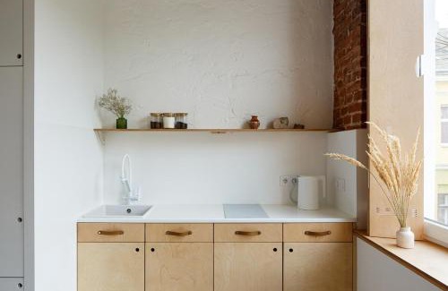 Kosuv Stary Apartment | Bastion Apartment