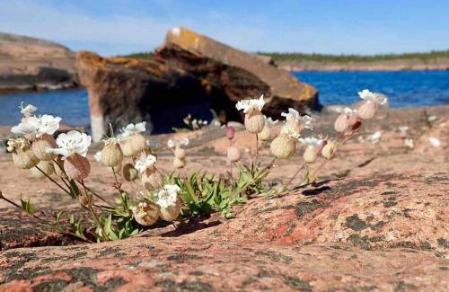 Odkarby House | Discover Bastukleven: Family-Friendly Retreat in Hamnsundet