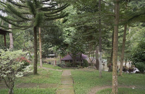 Bohorok House | Discover Batu Katak Gibbon Guesthouse with Family-Focused Amenities