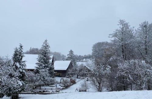 Pfaffikon District Apartment | Oceanfront Apartments in Switzerland - Guest Rated 10/10