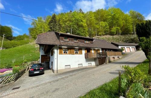 Munstertal House | Family-Friendly Bauernhaus im Münstertal Awaits You
