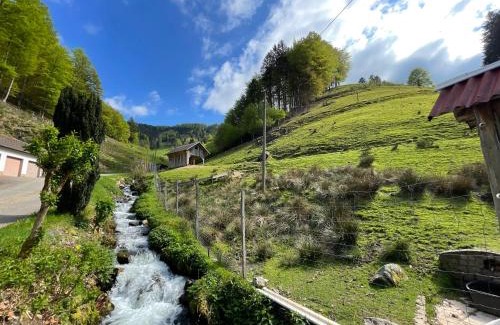 Munstertal House | Family-Friendly Bauernhaus im Münstertal Awaits You