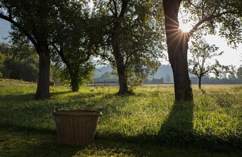 Scheffau am Wilden Kaiser Bed & Breakfast | Experience Bauernhof Lindenhof: Top-Rated Family Getaway
