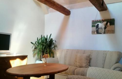 Wienrode Apartment | Family-Friendly Bauernhof Lisa with Pet and Kitchen Amenities