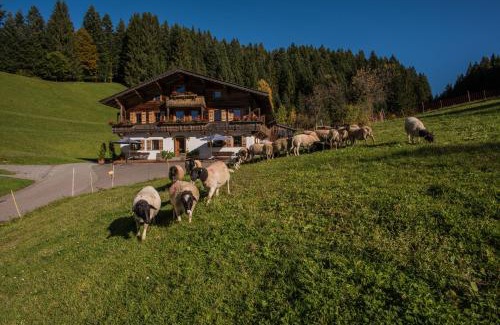 Ellmau Apartment | Family-Friendly Bauernhof Mühltalhof with Kitchen Amenities