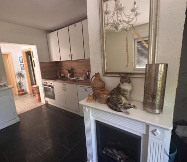 Berka/Werra Apartment | Comfortable Bauernhof Gästezimmer with Ocean Views