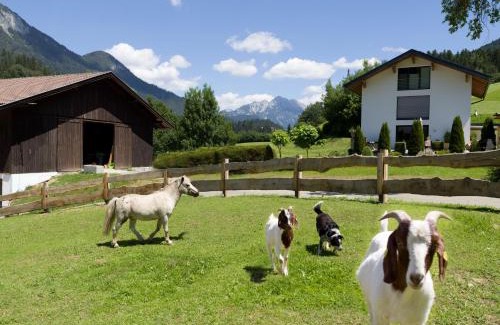 Itter House | Pet-Friendly Bauernhof Vordermühltal with Perfect 10 Rating