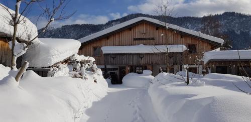 Hoefen Apartment | Experience BauernLodge Alpin Appartements: 9.9/10 Reviews