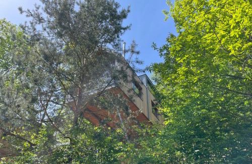 Annweiler am Trifels House | Baumwipfelhaus: Pet-Friendly Retreat with Top Guest Ratings