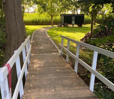 Butjadingen Other | Budget-Friendly Stay at Gut Groß Fedderwarden with Kitchen