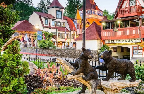 Helen Apartment | Cozy Bavarian Brook Unit 9: Pet-Friendly Retreat