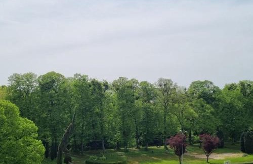 Charleville-Mezieres Apartment | Bayard la tour: Guest-Rated 10/10 with Family & Pet Amenities