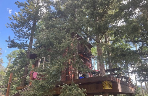 Fort Garland Cabin | Pet-Friendly Bayly's Treehouse Retreat: Guest Rated 10/10