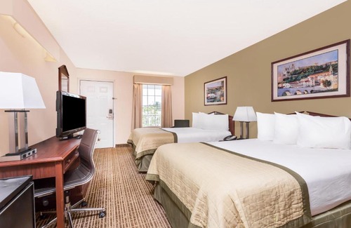 Albany Hotel | Pet-Friendly Comfort at Baymont by Wyndham Albany