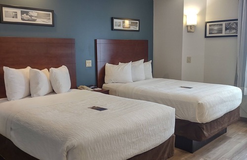 Flat Rock Hotel | Inviting Stay at Baymont by Wyndham Flat Rock - Pet Friendly