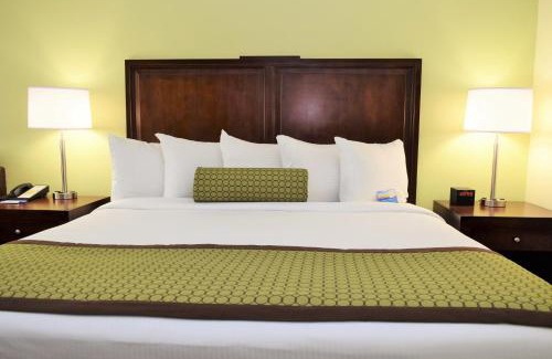 Pierre Hotel | Pet-Friendly Comfort at Baymont by Wyndham Pierre