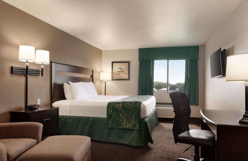 Wellington Hotel | Discover Comfort at Baymont by Wyndham Wellington Hotel