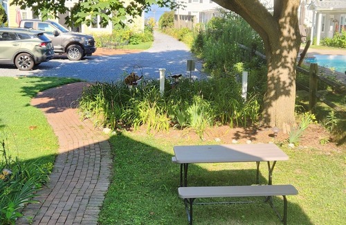 Rock Hall House | Ocean View Retreat at Bayside Bungalow - Guest Rated 10/10