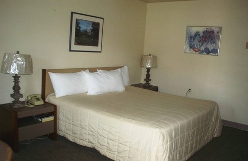 Blaine Hotel | Budget-Friendly Bayside Motor Inn with Family Amenities