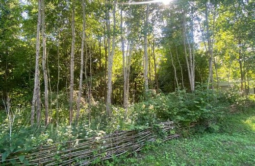 Pereslavl-Zalesskiy House | Pet-Friendly Retreat at Baza otdykha Pleshcheevo with Hot Tub