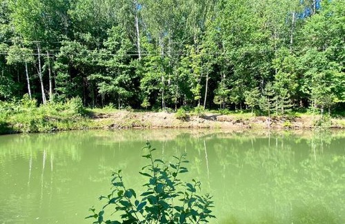 Pereslavl-Zalesskiy House | Pet-Friendly Retreat at Baza otdykha Pleshcheevo with Hot Tub
