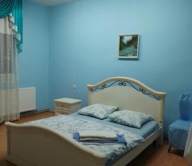 Nyzhnje Selyshche Hotel | BB Student Hotel Khust