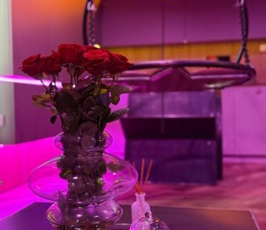 Lodz Apartment | BDSM SWING KLIMA TOP Jakośc, Apartament Idelny na Prezent ,Lustra wszedzie ,SUPER wygodne łóżko , huśtawka , tylko dla dorosłych ADULTS ONLY Parking w cenie