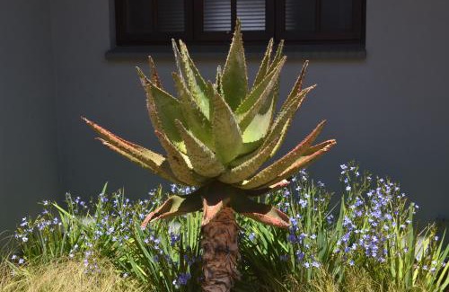 Klerksdorp House | Affordable Be At Home Guesthouse: Family-Friendly Stay