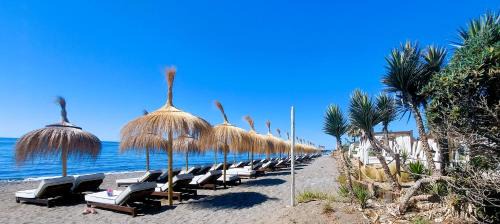 Guadalmina Apartment | Oceanfront Apartment in Guadalmina with Pool and Breakfast