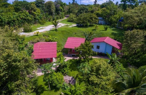 Las Uvas House | Beach & Jungle Retreat: Bungalows with Oceanfront Views