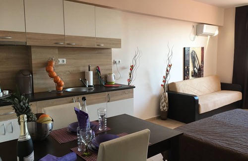 Pomorie Apartment | Pet-Friendly Beach Aparthotel with Ocean View & Spa