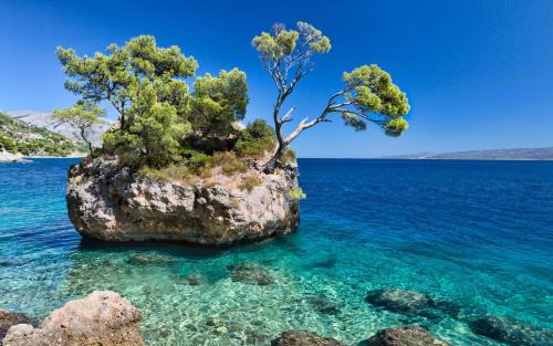 Brela Apartment | Oceanview Apartment in Central Brela - Guest Rated 10/10