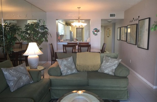 St. Petersburg Condo | Experience Dolphin Views from Your Private Balcony Retreat