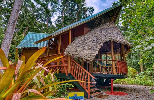 Chiguata House | Discover The Tree House Lodge: Oceanfront Ecolodge Retreat