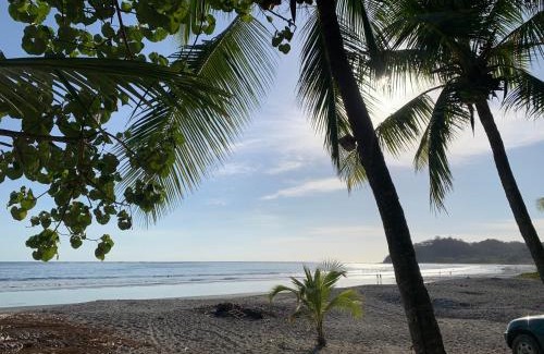 Samara Hotel | Beach Front Bahia: Guest Rated 9.1 with Ocean View Amenities